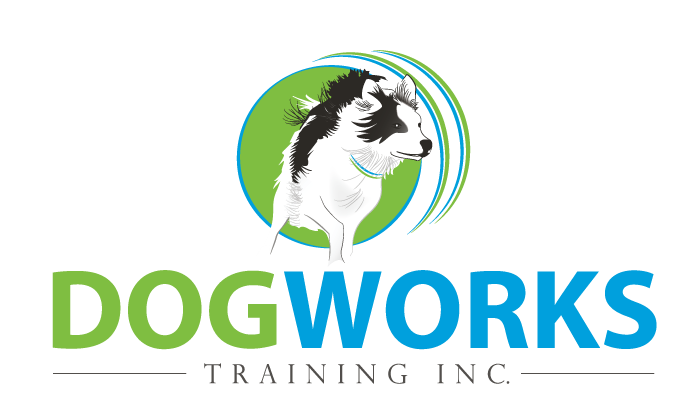 DogWorksTraining